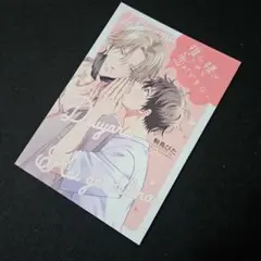 推し様はどうやら恋ができない　アニメイトオリジナル特典リーフレット★★