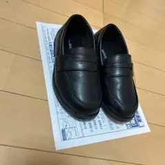 Item thumbnail for item a55679ad-88d5-4824-9295-e2803bd4862d