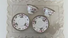 Noritake ノリタケ シクラメンタッチ ペア カップ＆ソーサー 2客