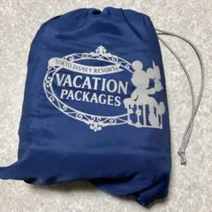 ディズニー　バケーションパッケージ　 ブランケット
