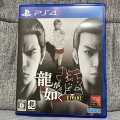 龍が如く 極 新価格版