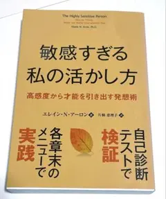 敏感すぎる私の活かし方 高感度から才能を引き出す発想術