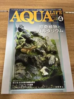 YAMAGARA様 リクエスト 2点 まとめ商品