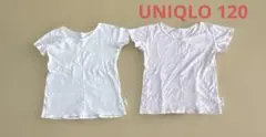 UNIQLO コットンフライスインナー120cm 2枚セット