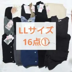 レディース16点 LLサイズ 秋冬 春夏 レディース服 きれいめ 大きいサイズ