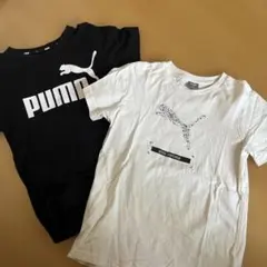 PUMA半袖Tシャツ2枚のサムネイル