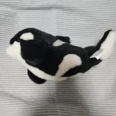 名古屋港水族館　シャチぬいぐるみのサムネイル