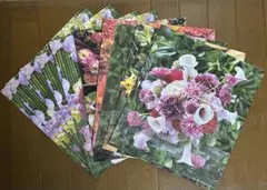 赤井勝　新聞紙ストッカー／花柄ミックス 10枚