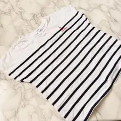 ストライプ Tシャツ 半袖 ホワイト/ネイビー