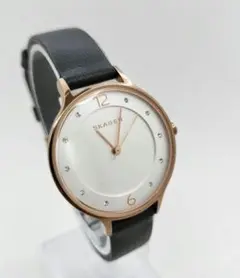 SKAGEN スカーゲン SKW2472 腕時計 アナログ クオーツ