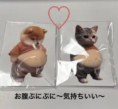 柴犬おなかシール