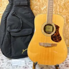 James ジェームス J1000D NAT エレアコ仕様 フィッシュマンPU - メルカリ