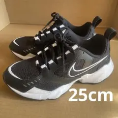 Nike スニーカー ブラック/ホワイト 25cm CI0603-001