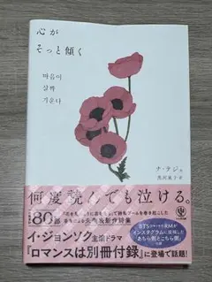 心がそっと傾く ナ・テジュ