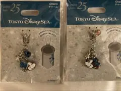 ディズニー シー 25周年 チャーム ミッキー ミニー