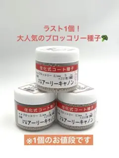 【こむぞう様専用】ブロッコリー（アーリーキャノン）5250粒（複数割）のサムネイル