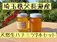 熟成2年1年 日本蜜蜂 はちみつ600g(K1Y1箱)(J1Y2箱) 2本セット - メルカリ