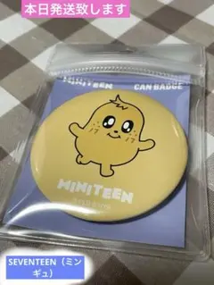 2025年最新】miniteen seventeen バッジの人気アイテム - メルカリ