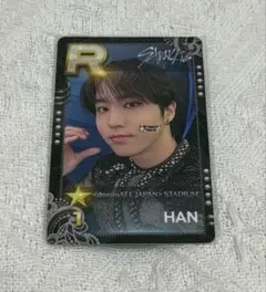 Stray Kids スキズ ハン HAN リアルカード エコパ シュスジェ