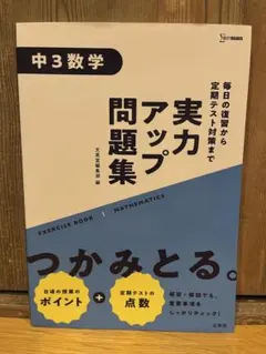 Item thumbnail for item 41ba763f-f887-491d-bb74-182f2e456b50