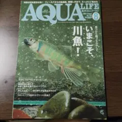 月刊アクアライフ 2020年8月号 日本淡水魚