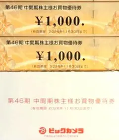 ビックカメラ 株主優待 ¥2,000 3%ポイントup券　ラクウル1000円券付
