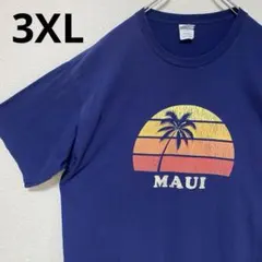 ポート&カンパニー　海外輸入古着　ヴィンテージ　南国　サーフ系Tシャツ