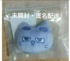 BOYNEXTDOOR　テサン　フェイスキーリング　ボネクド　ボイネク