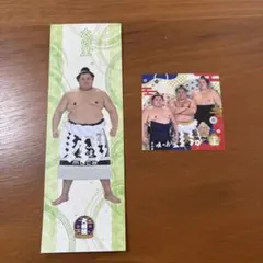 大の里 しおり　力士ステッカーセット 相撲