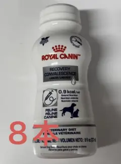 Item thumbnail for item c6a6058d-9dce-45ba-893d-4d8c5ec776c6