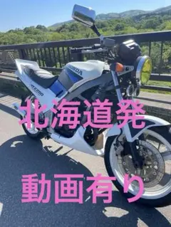 こうの母様専用❗️HONDA VTZ250 MC15 CBX仕様 CBXカラー - メルカリ