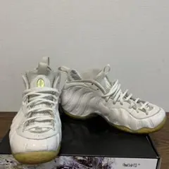 Nike Air Foamposite One White Out