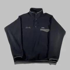 野村周平着用PatagoniaパタゴニアシンチラスナップTフリースブラック黒