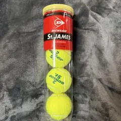 DUNLOP St.JAMES テニスボール4個入り