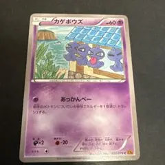 カゲボウズ C XY6 エメラルドブレイク 026/078