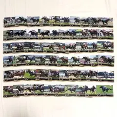 EPOCH 競馬カード 2024上半期 レギュラー全60種コンプ