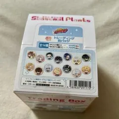 リボーン！　缶バッジ