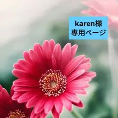 ★karen様専用ページ★
