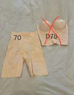 フォーシスアンドカンパニー　ガードル70