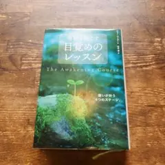 奇跡を起こす目覚めのレッスン ジョー・ヴィターレ