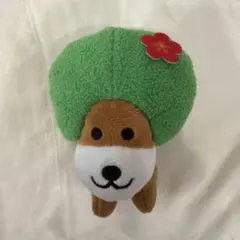 サンエックスユニバース ハイビスカス マスコットキーチェーン アフロ犬