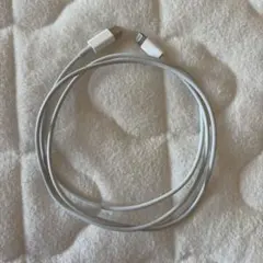 iPhone Apple純正充電器Lightningケーブル TypeCホワイト