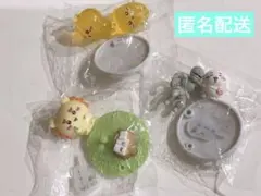 チョコサプ ちいかわ