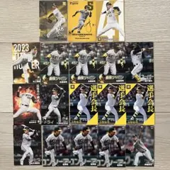 阪神タイガース プロ野球チップス カルビー カード 野球カード プロ野球カード