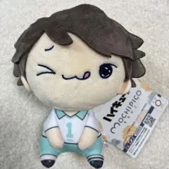 ハイキュー!! もちぴこ ぬいぐるみ 及川徹