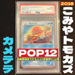 超希少】PSA10 コラッタ e Yuka Morii 粘土アート 高騰中 - メルカリ