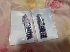 東京エイリアンズ ネーム アクリルブロック キーホルダー 雨宮 天空橋