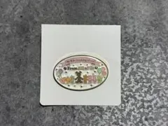 ダッフィー&フレンズ　ピンバッチ　シークレットのサムネイル