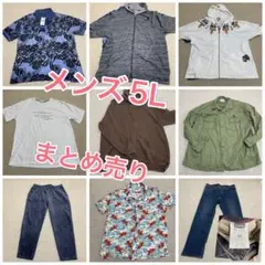 まとめ売り メンズ アパレル9着 ビッグサイズ 5L