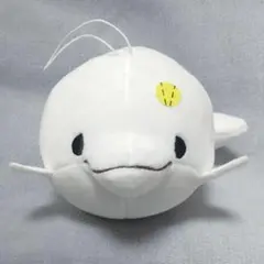 みいるか ゆるいるか ぬいぐるみ マスコット シロイルカのサムネイル
